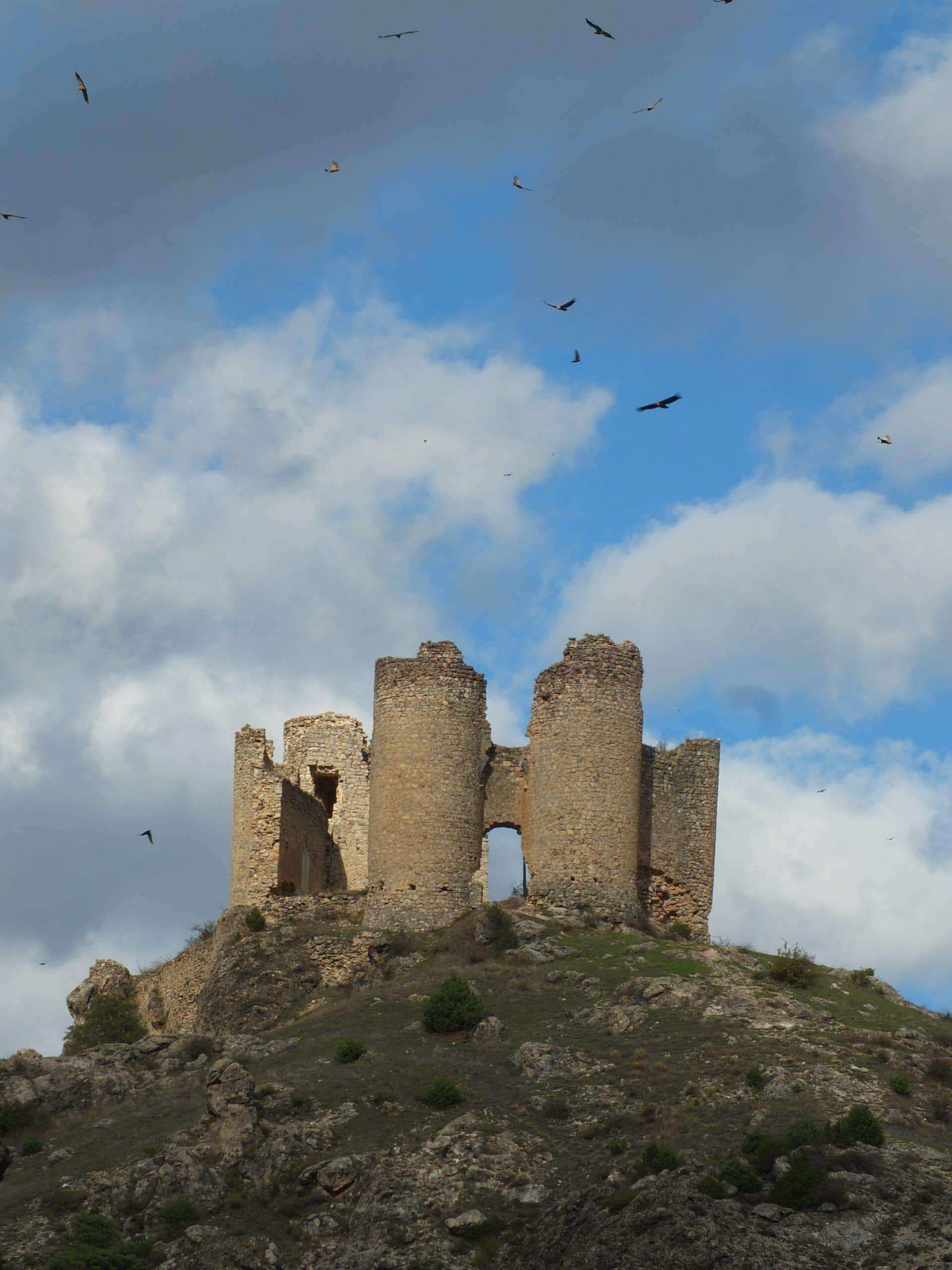 Castillo de Pelegrina - Alojamiento en Siguenza familias y grupos