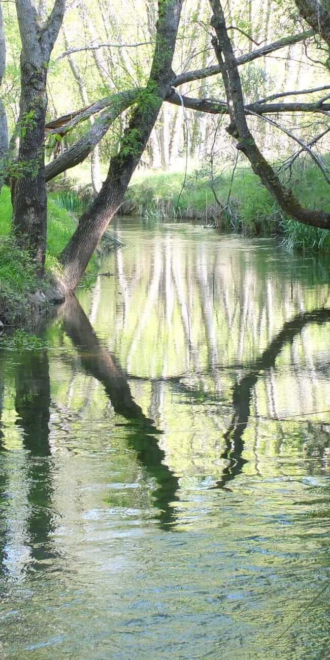 Rio Dulce al paso por La Cabrera