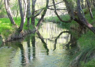 Rio Dulce al paso por La Cabrera - Alojamiento en Siguenza familias y grupos