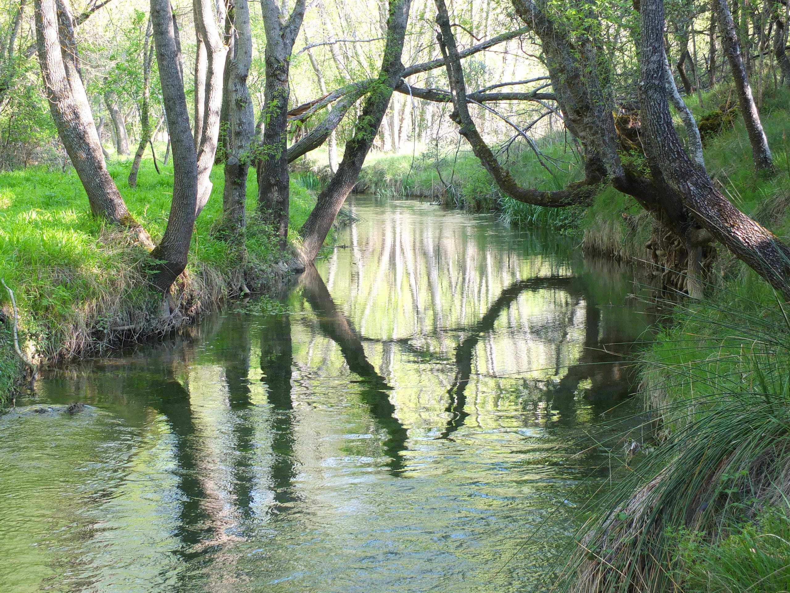 Rio Dulce al paso por La Cabrera - Alojamiento en Siguenza familias y grupos