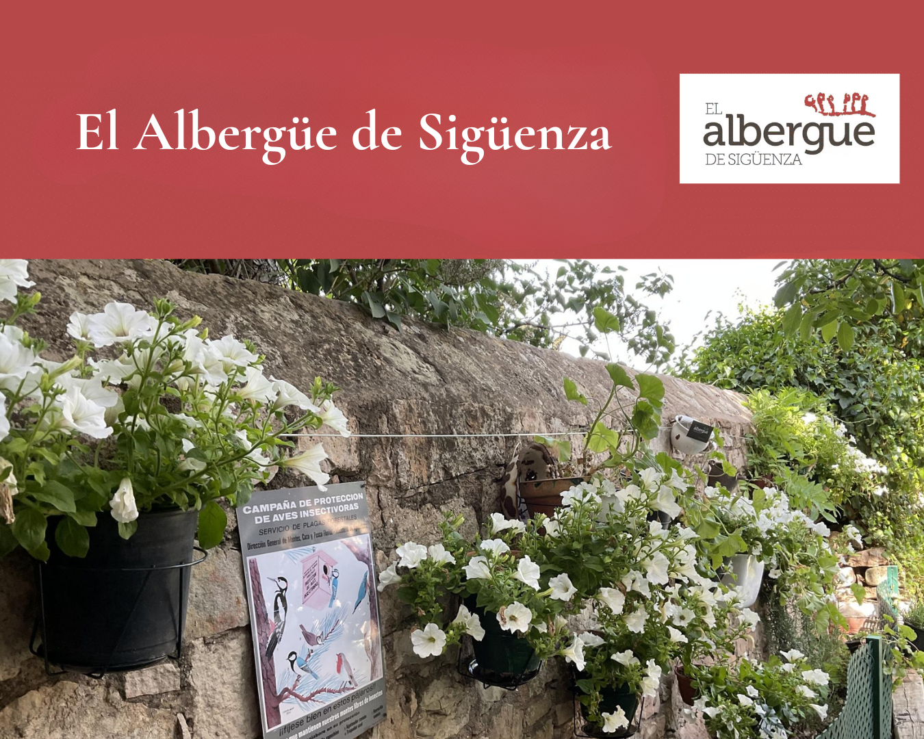 El Albergue de Sigüenza